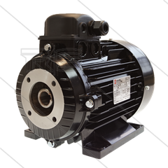 E-Motor 3.0 kW - 230/400V - Ø24mm Hohlwelle - IEC 100 - pumpenserie 47(VHT-SS) - 59(E3) - 66(VHT-SS)